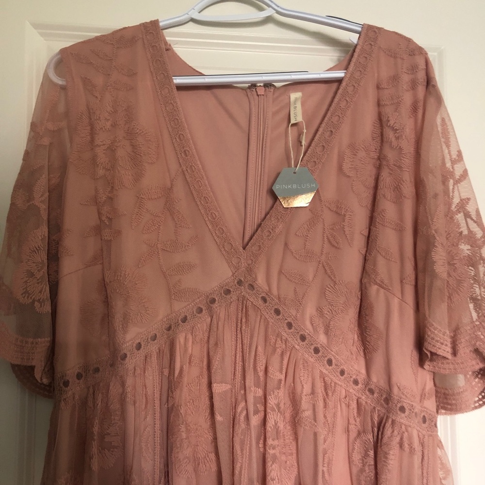 NWT Pinkblush Lace Maxi Dress